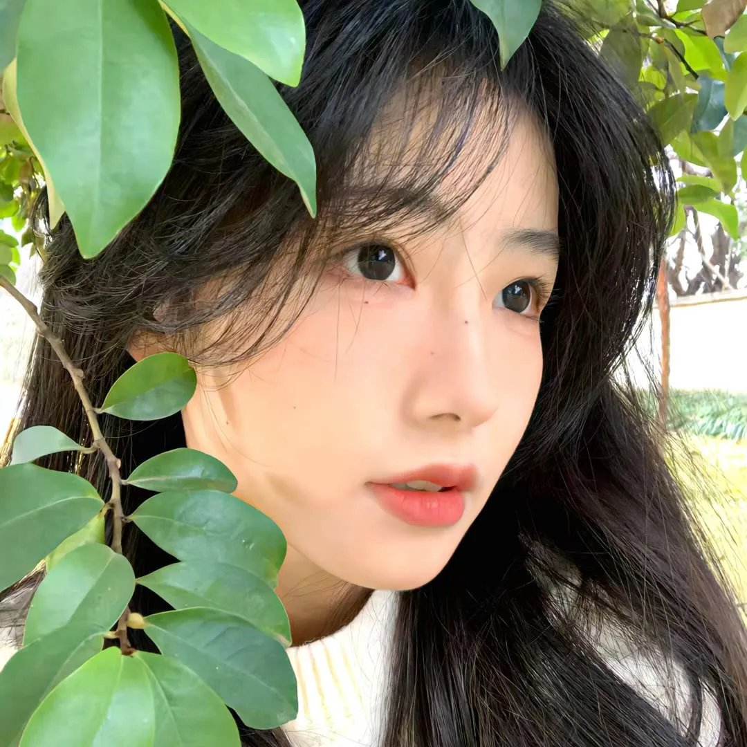 山中有些小精灵